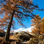 Am Biel * Зас-Фе