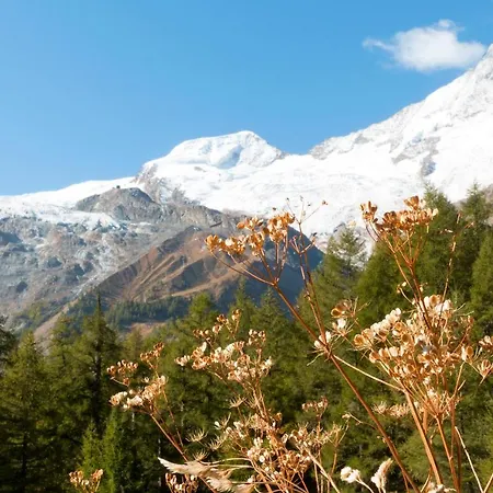Am Biel Lägenhet Saas Fee