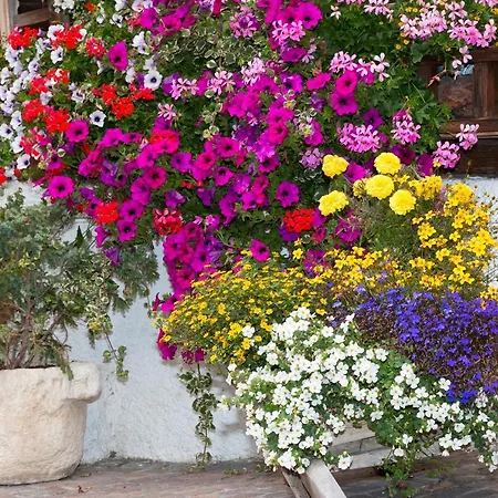 Am Biel Апартаменти