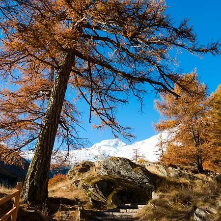 Am Biel * Saas-Fee