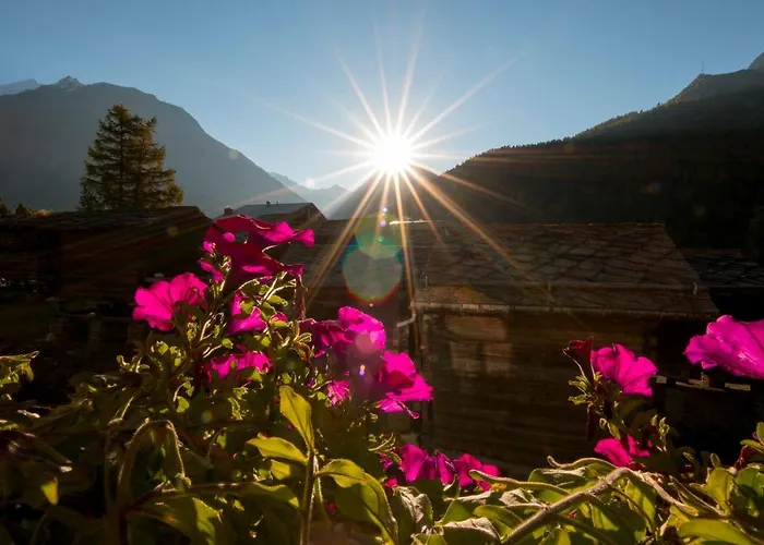 Appartement Am Biel *