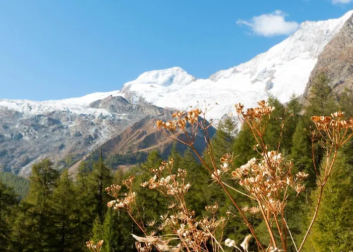 Am Biel Appartement Saas Fee