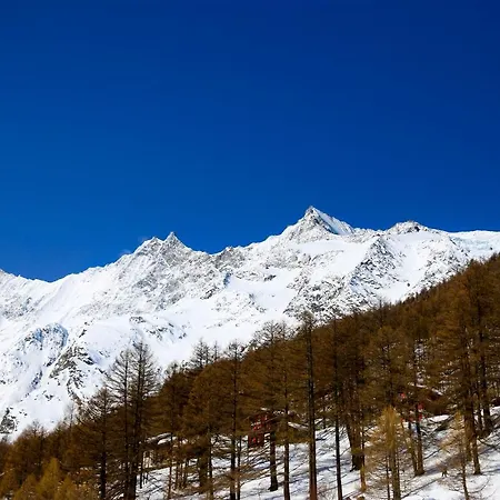 Am Biel Appartamento